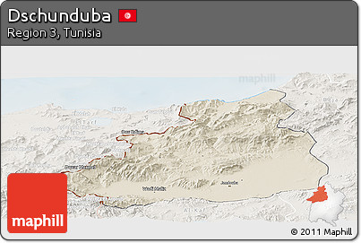 Shaded Relief Panoramic Map of Dschunduba, lighten