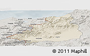 Shaded Relief Panoramic Map of Dschunduba, semi-desaturated
