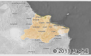 Satellite 3D Map of Monastir, desaturated