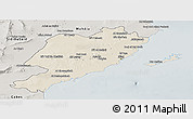 Shaded Relief Panoramic Map of Sfax, semi-desaturated