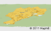 Savanna Style Panoramic Map of Afyon, single color outside