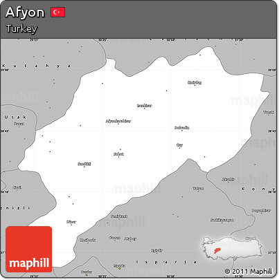 Gray Simple Map of Afyon