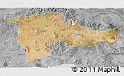 Satellite 3D Map of Agri, desaturated
