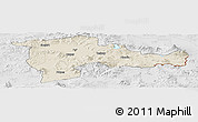 Shaded Relief Panoramic Map of Agri, lighten, desaturated
