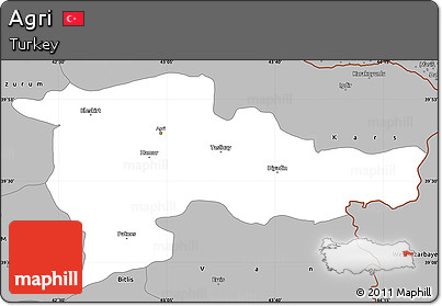 Gray Simple Map of Agri