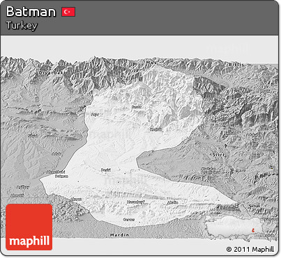 Gray Panoramic Map of Batman