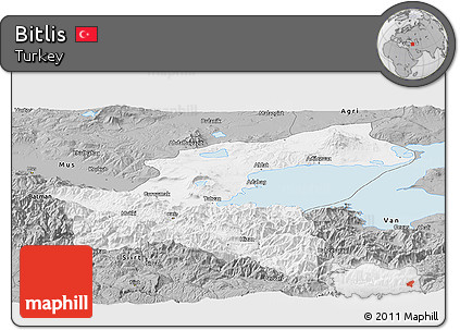 Gray Panoramic Map of Bitlis