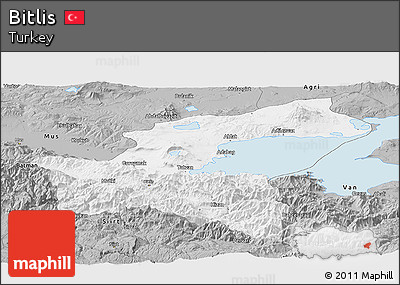 Gray Panoramic Map of Bitlis