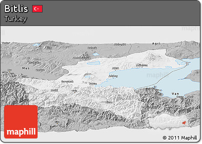 Gray Panoramic Map of Bitlis