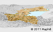 Satellite Panoramic Map of Bitlis, lighten, desaturated