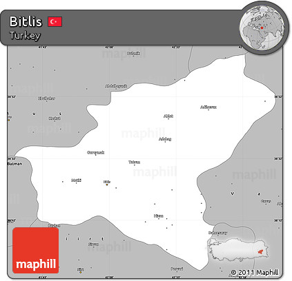 Gray Simple Map of Bitlis