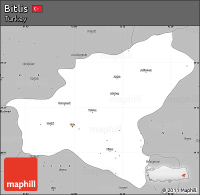 Gray Simple Map of Bitlis