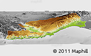 Physical Panoramic Map of Icel, desaturated