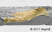 Satellite Panoramic Map of Icel, desaturated