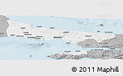 Gray Panoramic Map of Istanbul