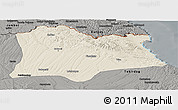 Shaded Relief Panoramic Map of Kirklareli, darken, semi-desaturated