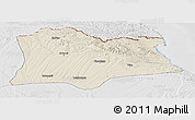 Shaded Relief Panoramic Map of Kirklareli, lighten, desaturated