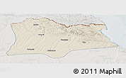 Shaded Relief Panoramic Map of Kirklareli, lighten, semi-desaturated