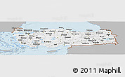 Gray Panoramic Map of Turkey, single color outside