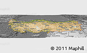 Satellite Panoramic Map of Turkey, desaturated