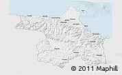 Silver Style 3D Map of Sinop, single color outside