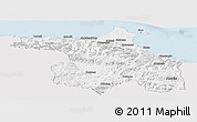 Silver Style Panoramic Map of Sinop, single color outside