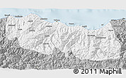 Gray 3D Map of Trabzon