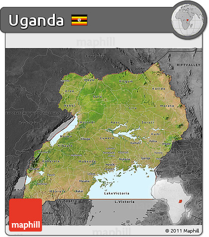 Satellite 3D Map of Uganda, darken, desaturated