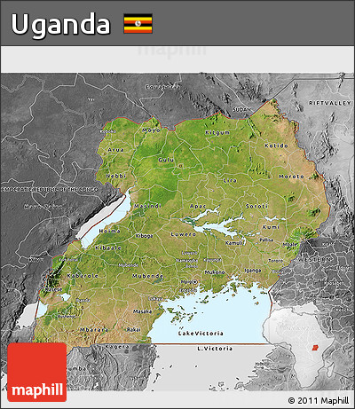 Satellite 3D Map of Uganda, desaturated