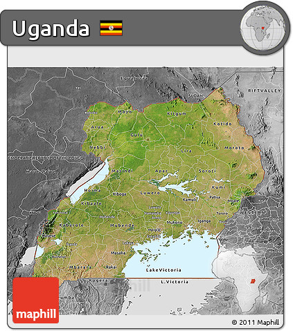Satellite 3D Map of Uganda, desaturated
