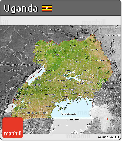 Satellite 3D Map of Uganda, desaturated