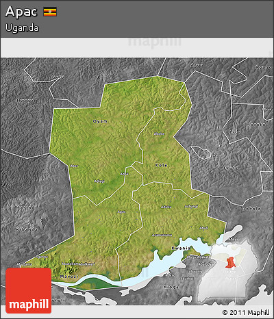 Satellite 3D Map of Apac, desaturated