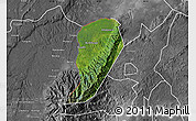 Satellite Map of Bwamba, desaturated