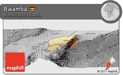 Physical Panoramic Map of Bwamba, desaturated