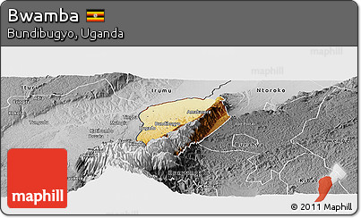 Physical Panoramic Map of Bwamba, desaturated