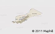 Shaded Relief Panoramic Map of Bundibugyo, cropped outside