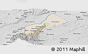 Shaded Relief Panoramic Map of Bundibugyo, desaturated