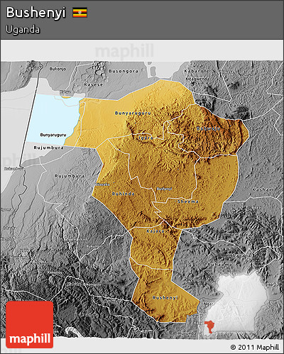 Physical 3D Map of Bushenyi, desaturated