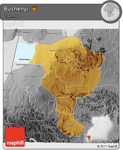Physical 3D Map of Bushenyi, desaturated