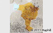 Physical 3D Map of Bushenyi, lighten, semi-desaturated