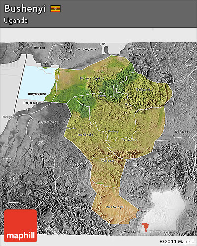Satellite 3D Map of Bushenyi, desaturated