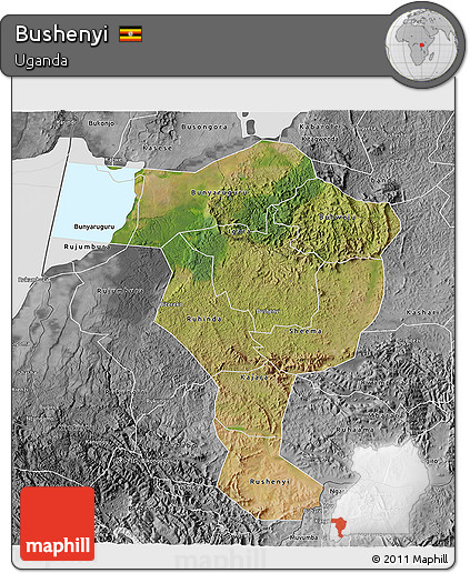 Satellite 3D Map of Bushenyi, desaturated