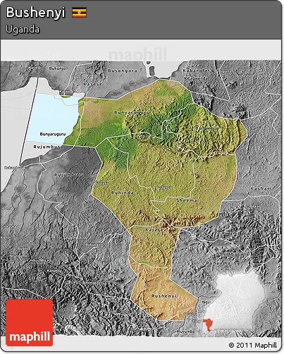 Satellite 3D Map of Bushenyi, desaturated