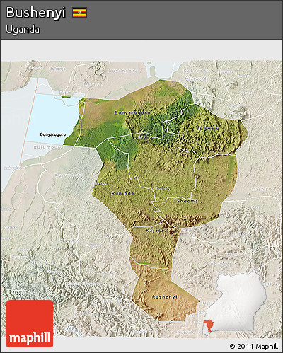 Satellite 3D Map of Bushenyi, lighten