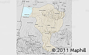 Shaded Relief 3D Map of Bushenyi, desaturated