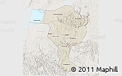 Shaded Relief 3D Map of Bushenyi, lighten