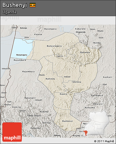 Shaded Relief 3D Map of Bushenyi, semi-desaturated