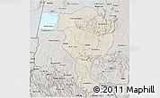 Shaded Relief 3D Map of Bushenyi, semi-desaturated