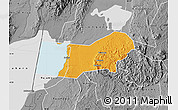 Political Map of Bunyaruguru, desaturated