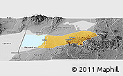 Physical Panoramic Map of Bunyaruguru, desaturated